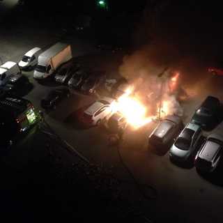 Bilbrandsbryderier och gratistidningsförluster