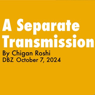 2024.10.07 - A Separate Transmission - By Chigan Roshi, DBZ Golden - Wind - Sesshin
