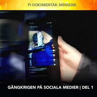 Gängkrigen på sociala medier – Gangsterism | Del 1/3