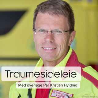 Traumesideleie