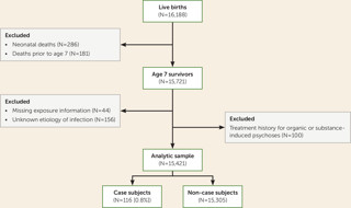 January 2020: Maternal Bacterial Infection and Offspring Psychosis Risk