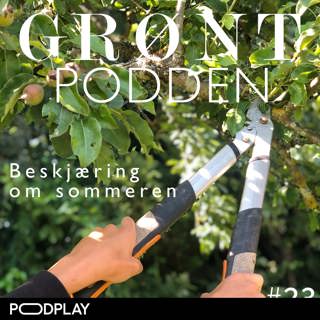 #23 Beskjæring om sommeren, og hva er egentlig JAS?