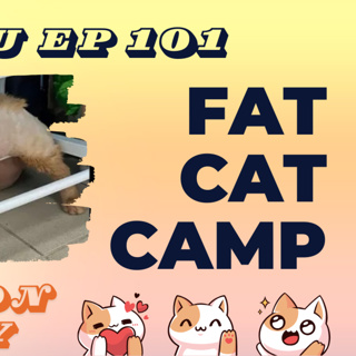 FAT CAT CAMP - LGFU Ep 101