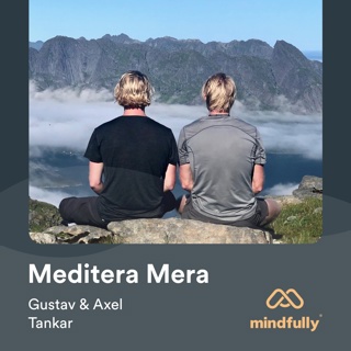 Om meditation och tankar
