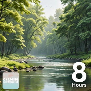 Relaxing Forest Sounds with River and Birds | 8 Hour Nature Ambience