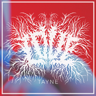 ALBUM REVIEW: Tayne – Love
