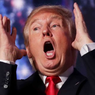 Has Donald Trump finally lost it?