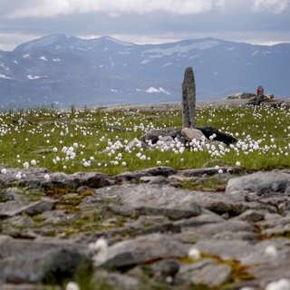 Nasafjäll silvergruva och en daggmaskteater