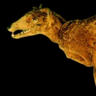 The Rarest Prehistoric Cave Discoveries