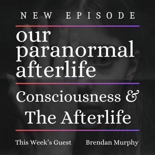 Consciousness & The Afterlife