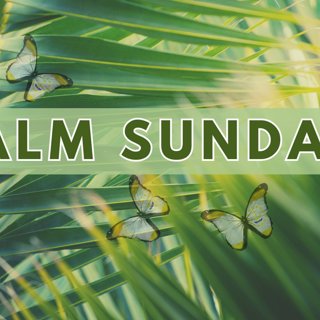 "Finding Jesus" | Sermon, March 29, 2026