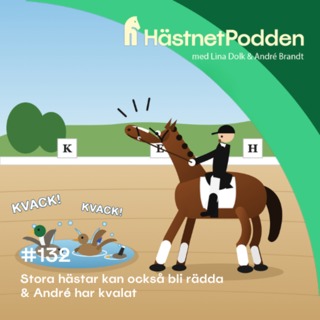 132. Stora hästar kan också bli rädda & André har kvalat