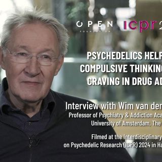 WIM VAN DEN BRINK | Psychedelics help reduce compulsive thinking, such as craving in drug addiction