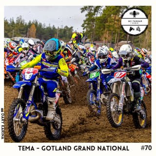 Tema - Gotland Grand National
