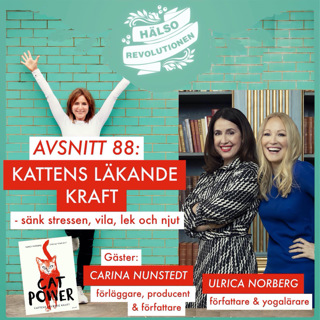 AVSNITT 88: KATTENS LÄKANDE KRAFT – Mer återhämtning, lek och njutning