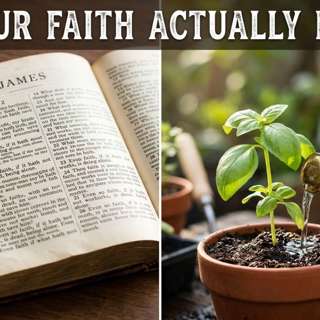 James 2 - Faith without works is dead