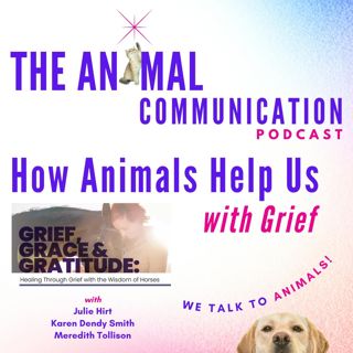 How Animals Help Us with Grief with Anna Marie Ellison