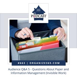 663 - Audience Q&A 5 - Paper Information Management (Invisible Work)