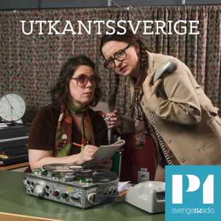 Pensionsvolontären i Bergköping