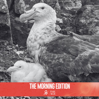 Why this bird flu is a lot more dangerous than the last one