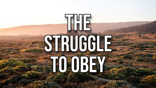 The Struggle to Obey