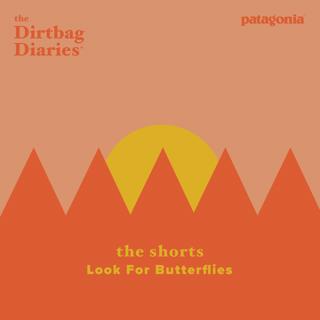 The Shorts-- Look For Butterflies