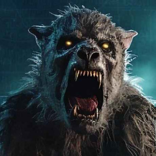 19 TRUE SCARY HIKING & PARK RANGER HORROR STORIES
