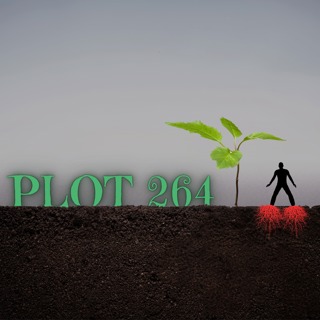 Plot 264