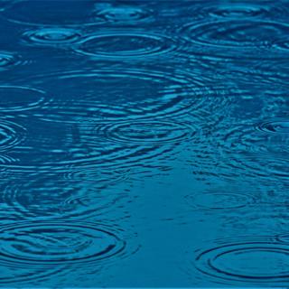 😴🌧️🎵 RAIN Drops and Calm MELODY for Deep SLEEP