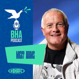 Managing the rise with Micky Adams
