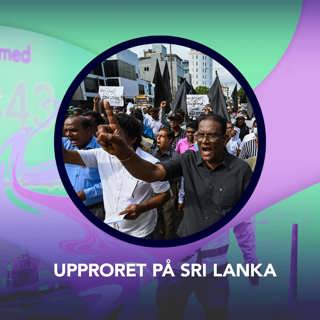 Upproret på Sri Lanka – P3 Nyheter Dokumentär