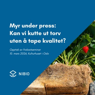 Myr under press - kan vi kutte ut torv uten å tape kvalitet?