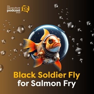 Black Soldier Fly for Salmon Fry | Ep. 52