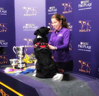 213: Interview with Westminster Champion Perry DeWitt