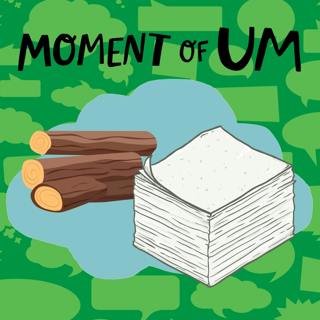 How is wood made into paper?