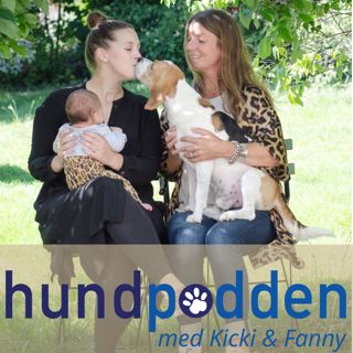 Säsongsavslutning & fråga hundpsykologerna