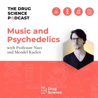 51. Music and Psychedelics with Mendel Kaelen