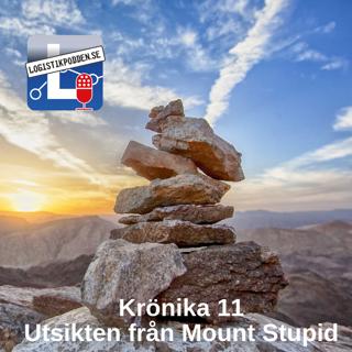 Krönika 11 - Utsikten från Mount Stupid