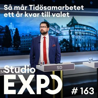 163. Så mår Tidösamarbetet ett år kvar till valet