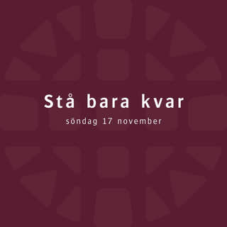 Stå bara kvar – Robert Eriksson