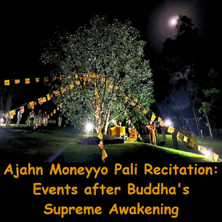 AJAHN MONEYYO | Pali Recitation: Buddha's Enlightenment to First Discourse | Vinaya Mahavagga 1. 1-6