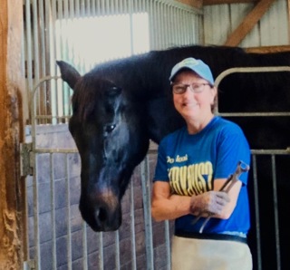 When Euthanasia Looms: Ertugliflozin’s Impact on Laminitic Horses