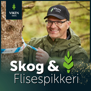 Del 3: Innføring i PEFC Skogstandard
