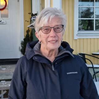 Bedragaren ruinerade Lillemor
