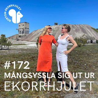 172. Mångsyssla sig ut ur ekorrhjulet