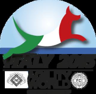 113: 2015 FCI Agility World Championship Wrap-up