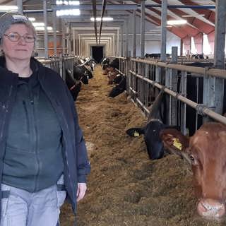 Sommarspecial om att allt färre handlar ekologiskt – och konsekvenserna med det