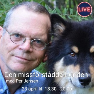 Inför "Den missförstådda hunden" med Per Jensen 23 april, 2025