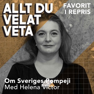 Allt du velat veta