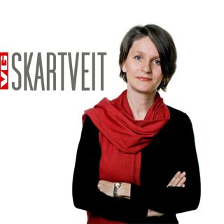 Skartveit